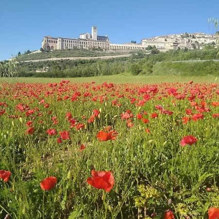 Casetta Delle Rose Asyż Zewnętrze zdjęcie